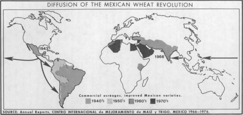 diffusion of the mexican wheat revolution norman borlaug